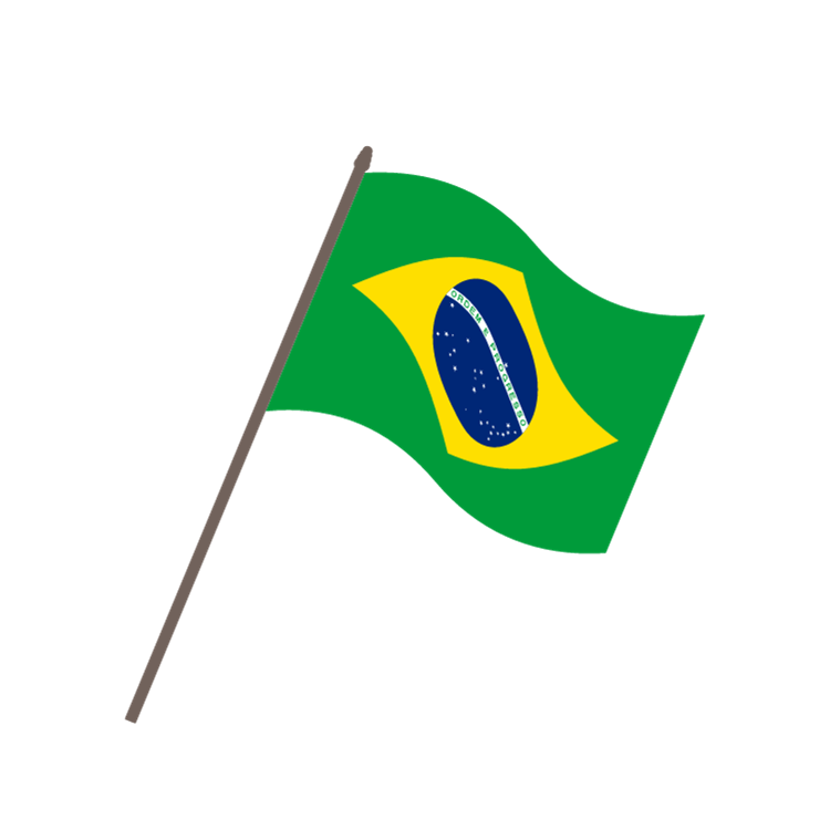 Brazil flag