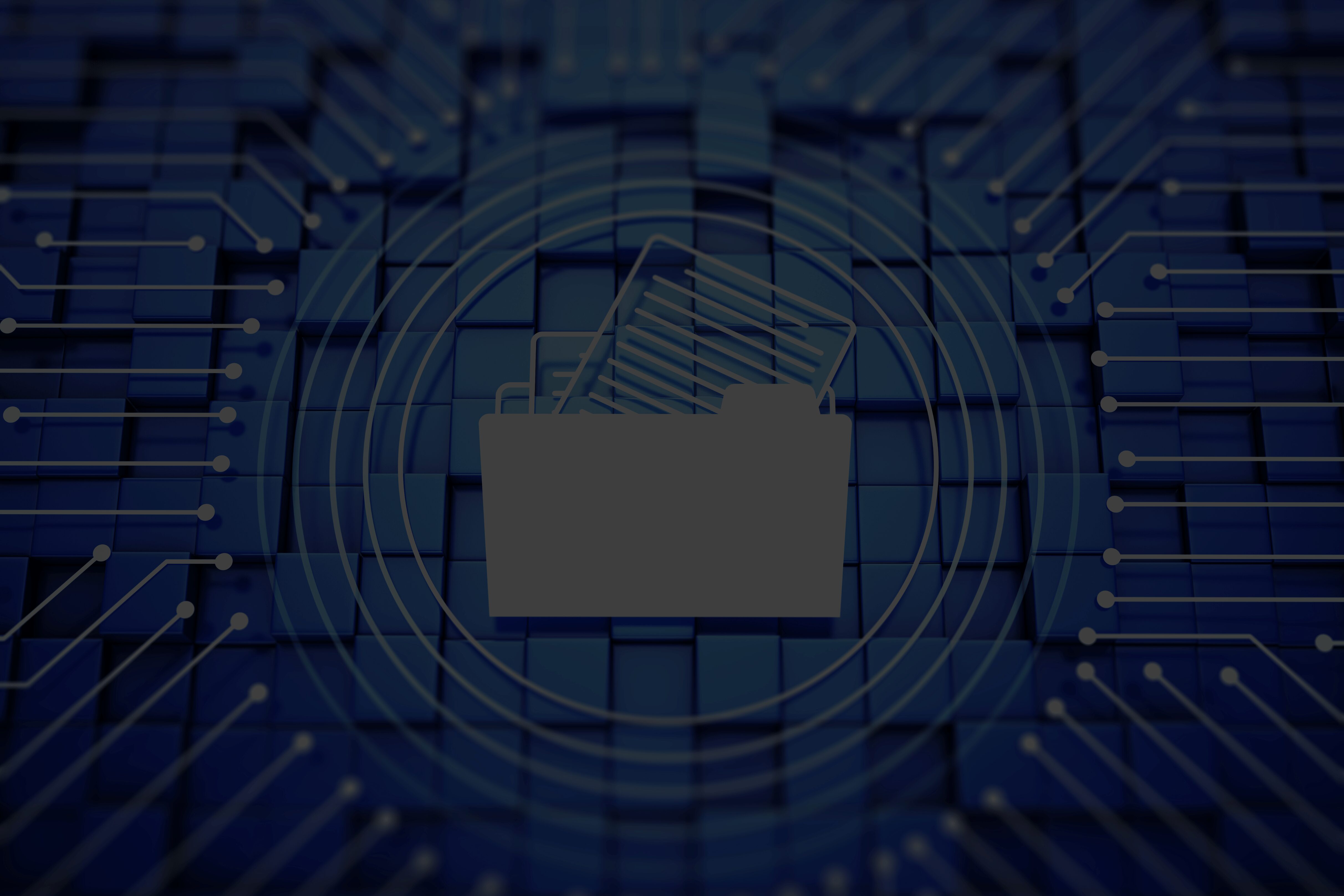 records of processing activities