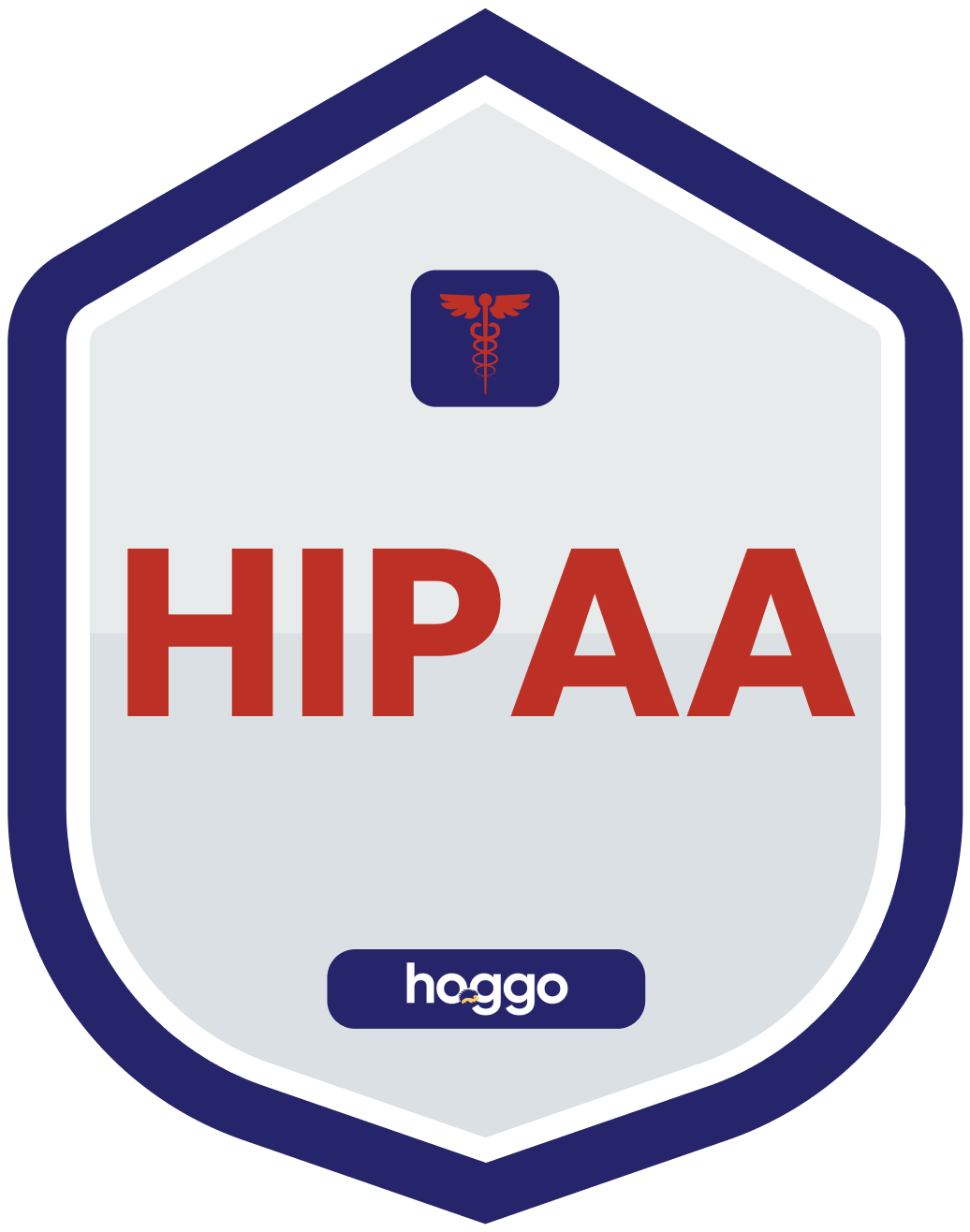 HIPAA Global Privacy Hub badge