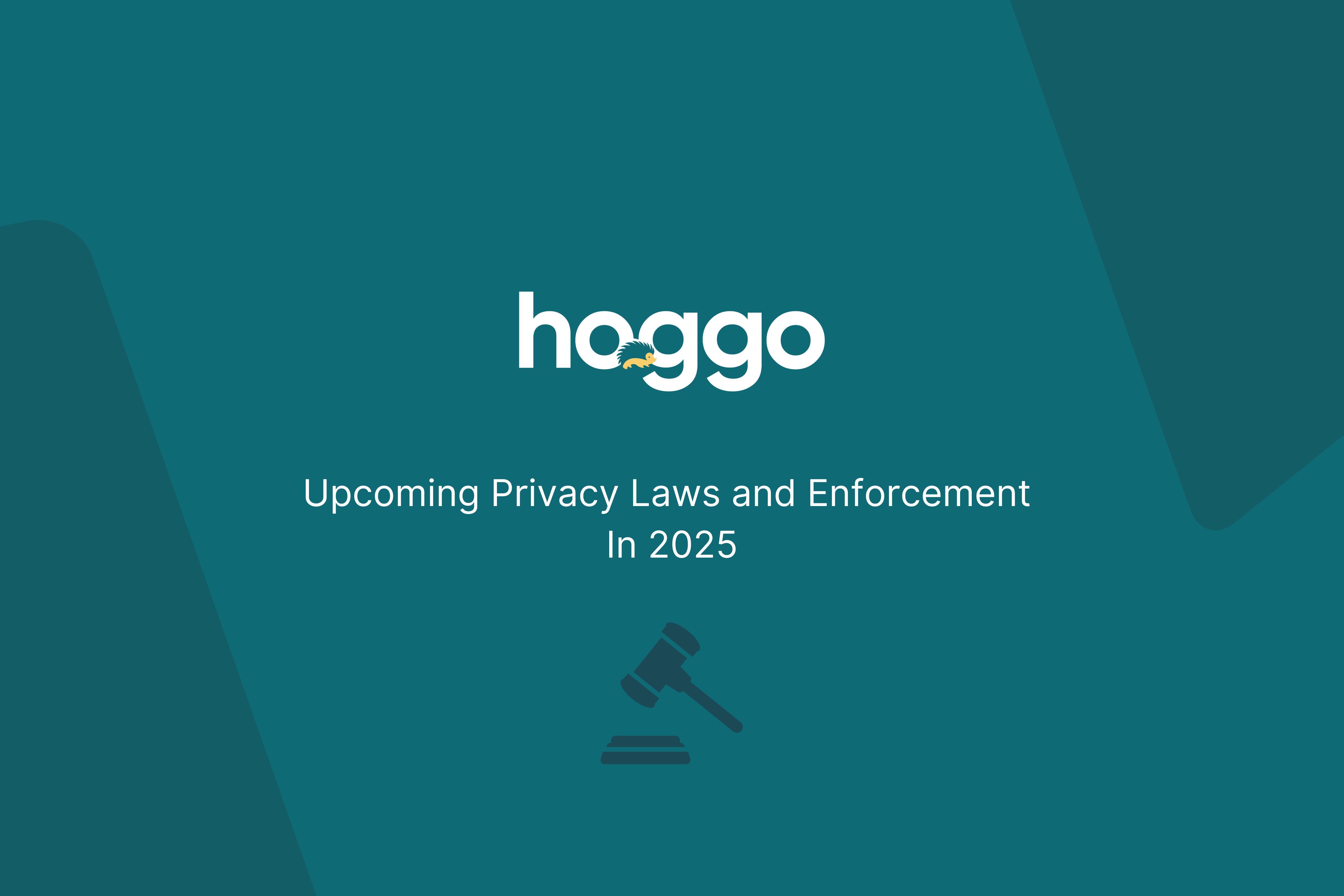 Upcoming privacy laws and enforcement in 2025
